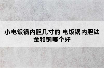 小电饭锅内胆几寸的 电饭锅内胆钛金和铜哪个好